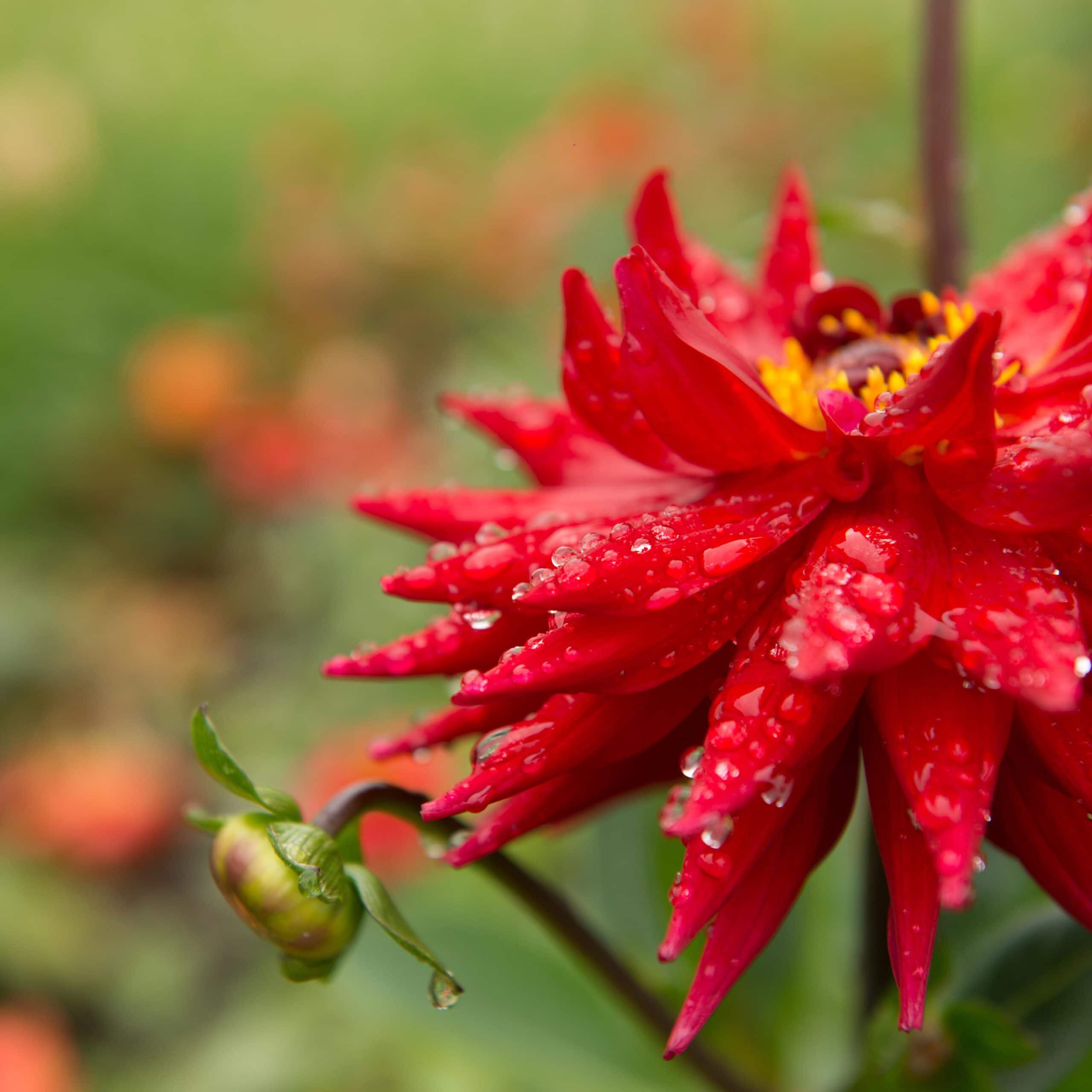 Praxisbeispiel Mediation Bild Rechtsanwalt, Mediator, Repetitor, Kanzlei Ansgar M.M. Stahl