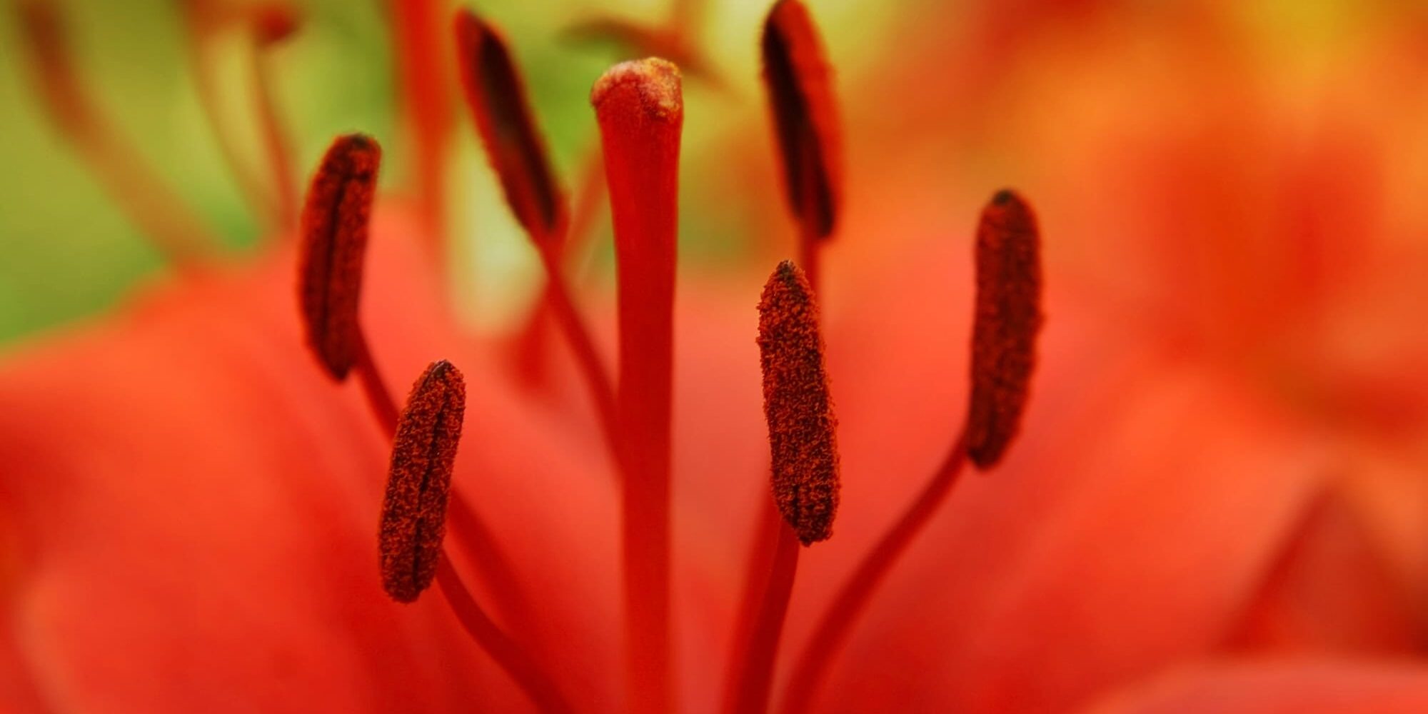 Kommt Mediation in Frage? Bild Mediation Rechtsanwalt, Mediator, Repetitor, Kanzlei Ansgar M.M. Stahl