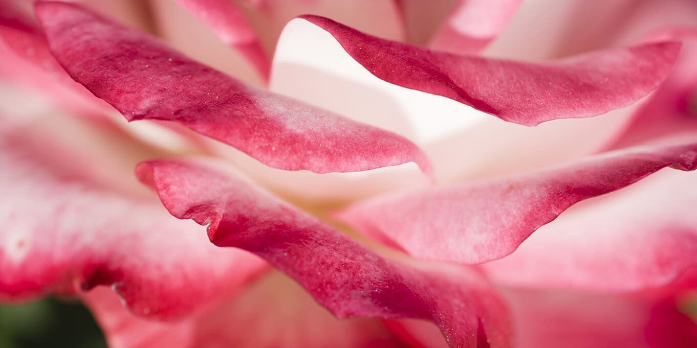 Was ist Mediation? Bild Mediation Rechtsanwalt, Mediator, Repetitor, Kanzlei Ansgar M.M. Stahl